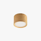 Carnelwyn Acrylic Ceiling Light-Moonnatur