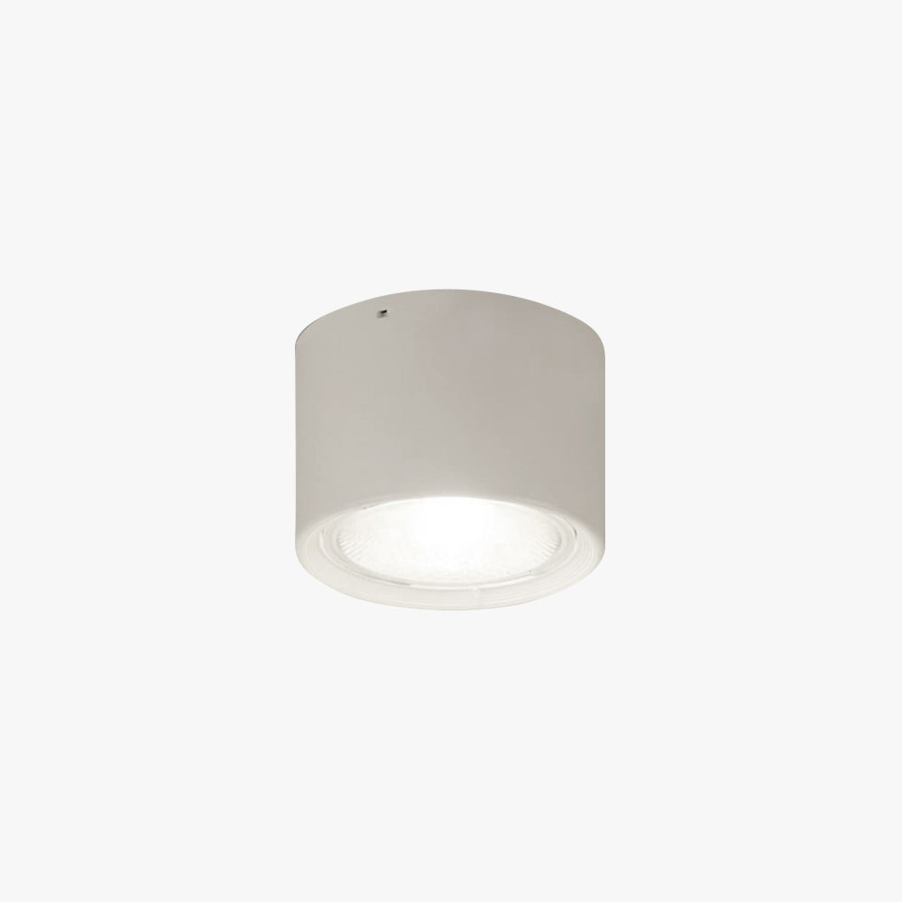 Carnelwyn Acrylic Ceiling Light-Moonnatur