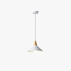 Faldenwick Metal Pendant Light-Moonnatur