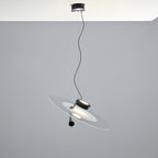 Cardeniel Acrylic Pendant Light-Moonnatur