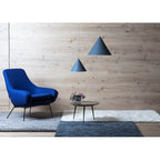 Langrenden Iron Pendant Light-Moonnatur