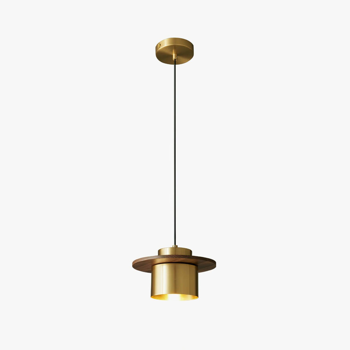 Roweniel Brass Pendant Light-Moonnatur