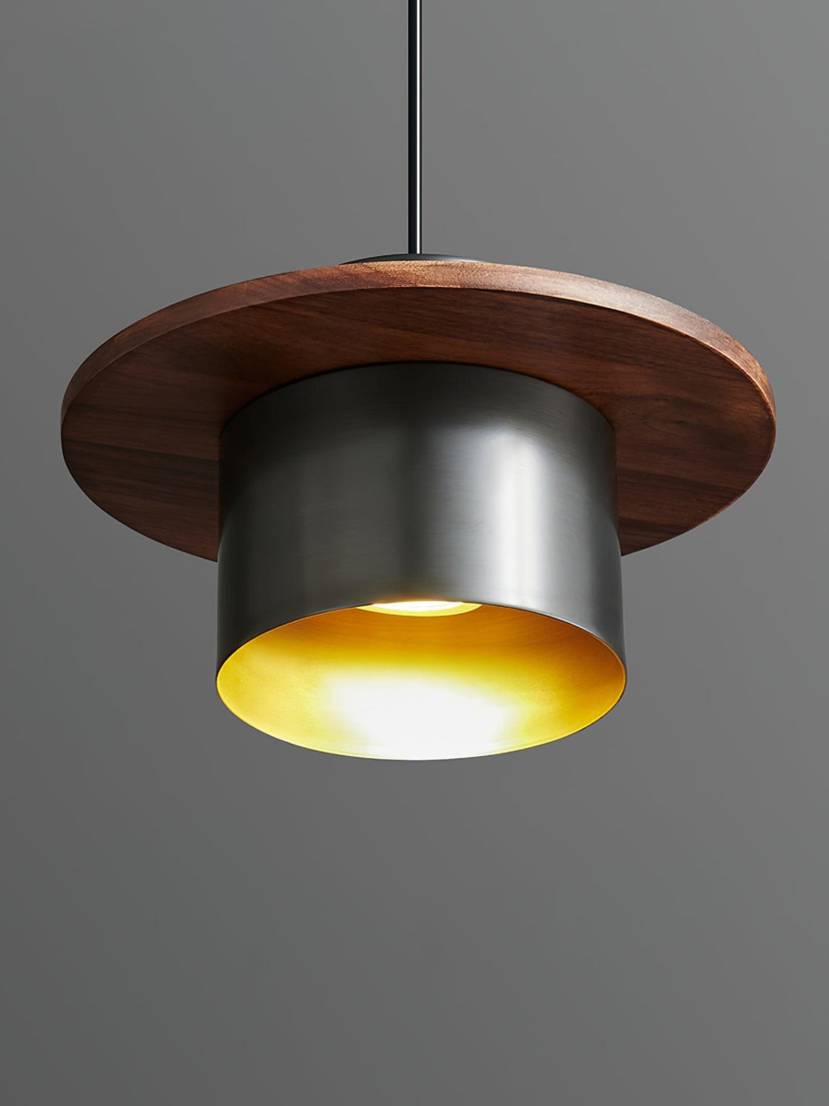 Roweniel Brass Pendant Light-Moonnatur
