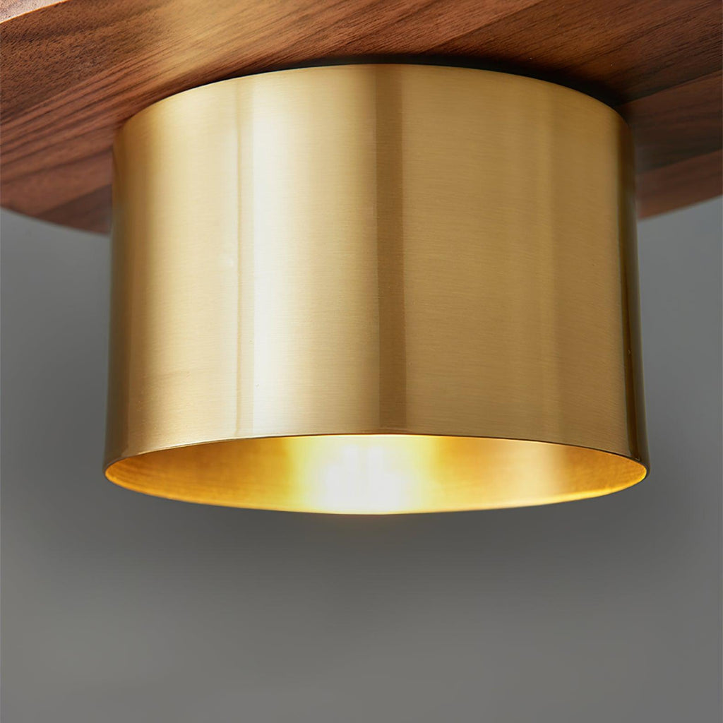Roweniel Brass Pendant Light-Moonnatur