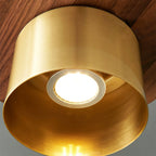 Roweniel Brass Pendant Light-Moonnatur