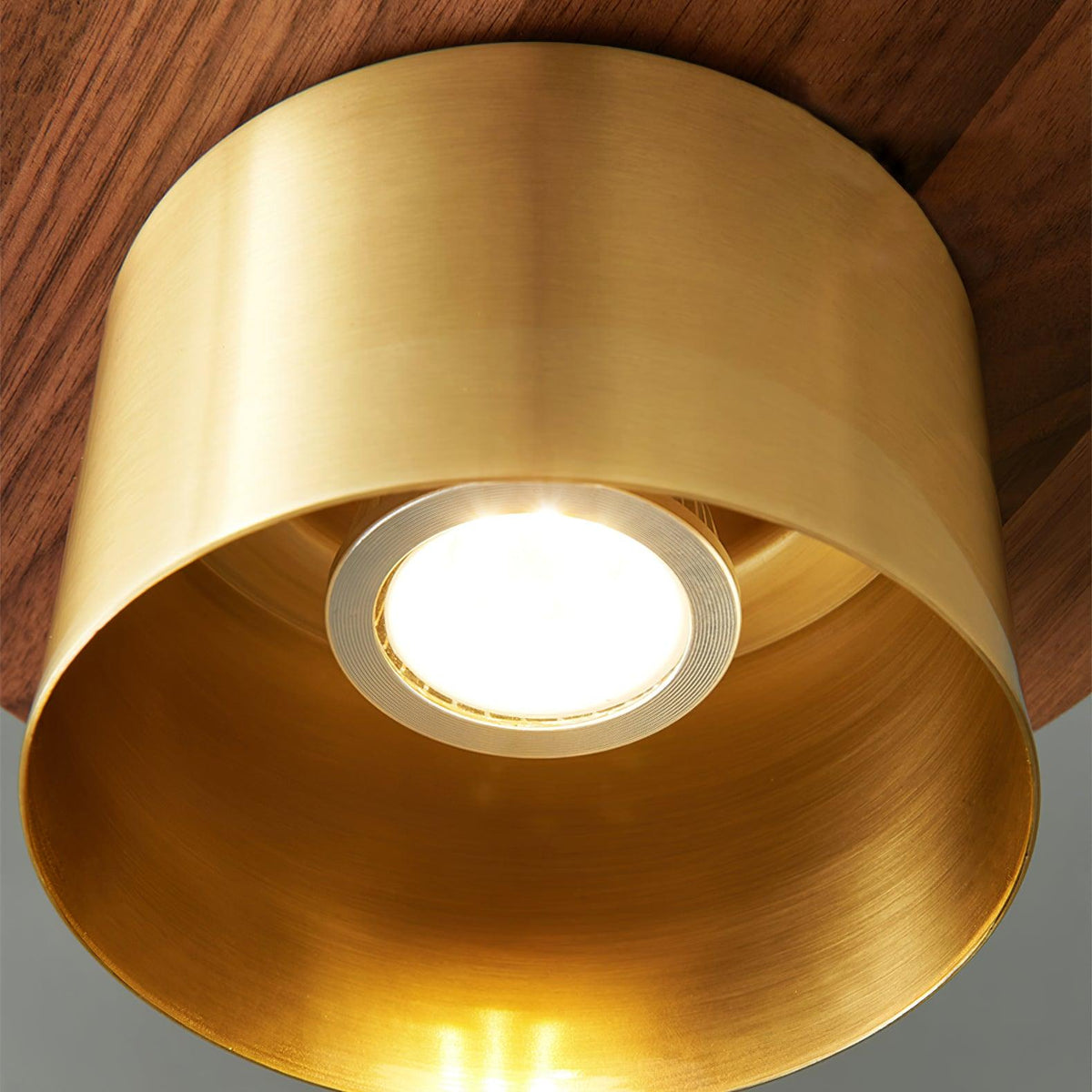 Roweniel Brass Pendant Light-Moonnatur