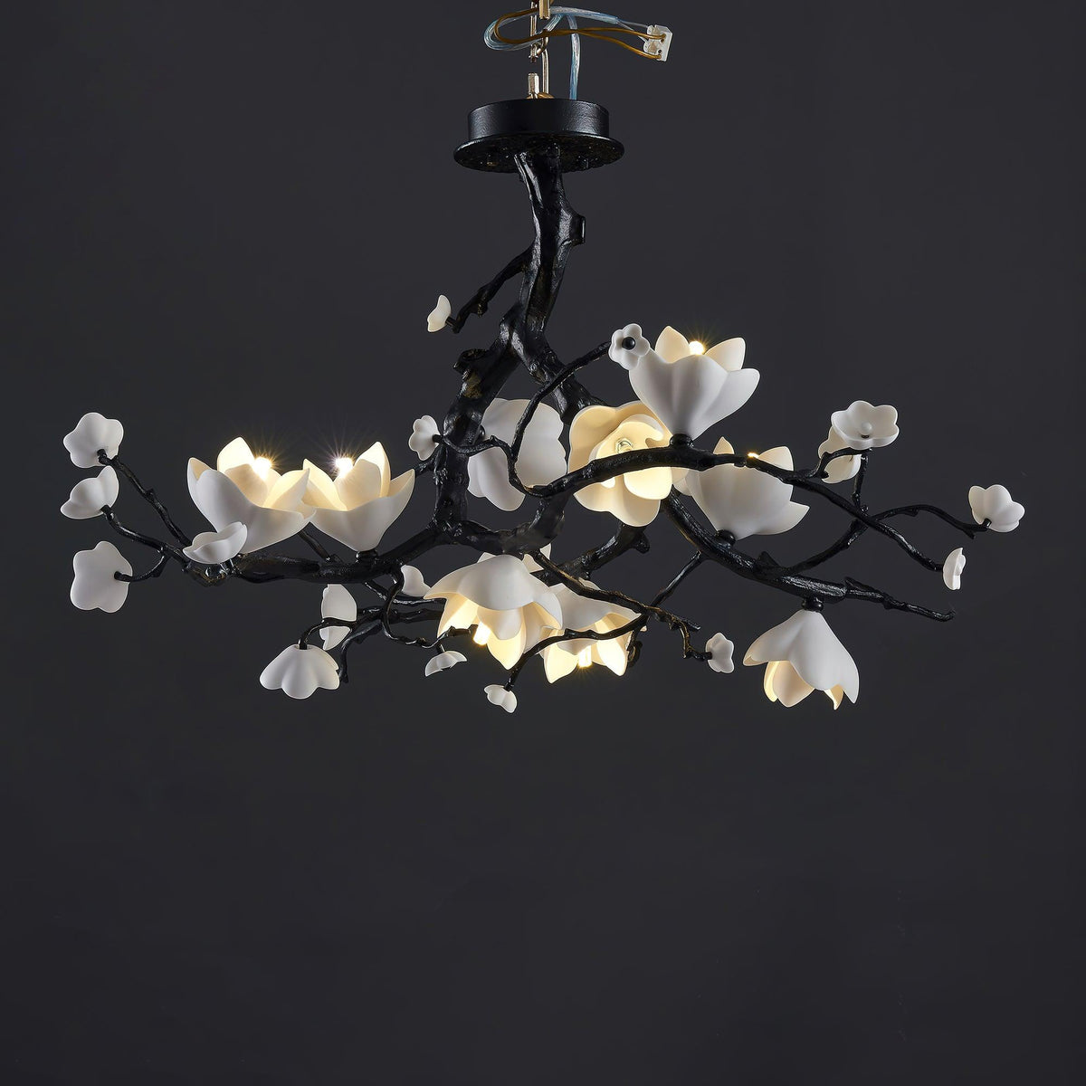 Gadrina Brass Chandelier-Moonnatur