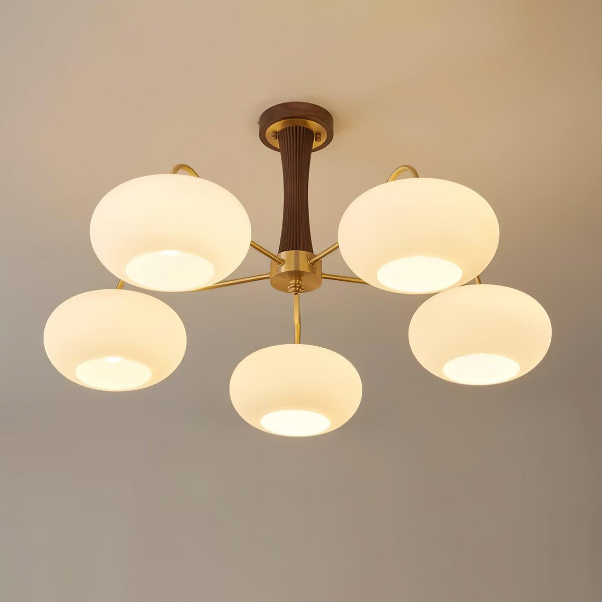 Camberenora Glass Chandelier-Moonnatur