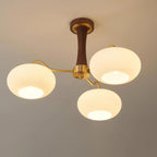 Camberenora Glass Chandelier-Moonnatur