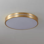 Ravelwyn Acrylic Ceiling Light-Moonnatur
