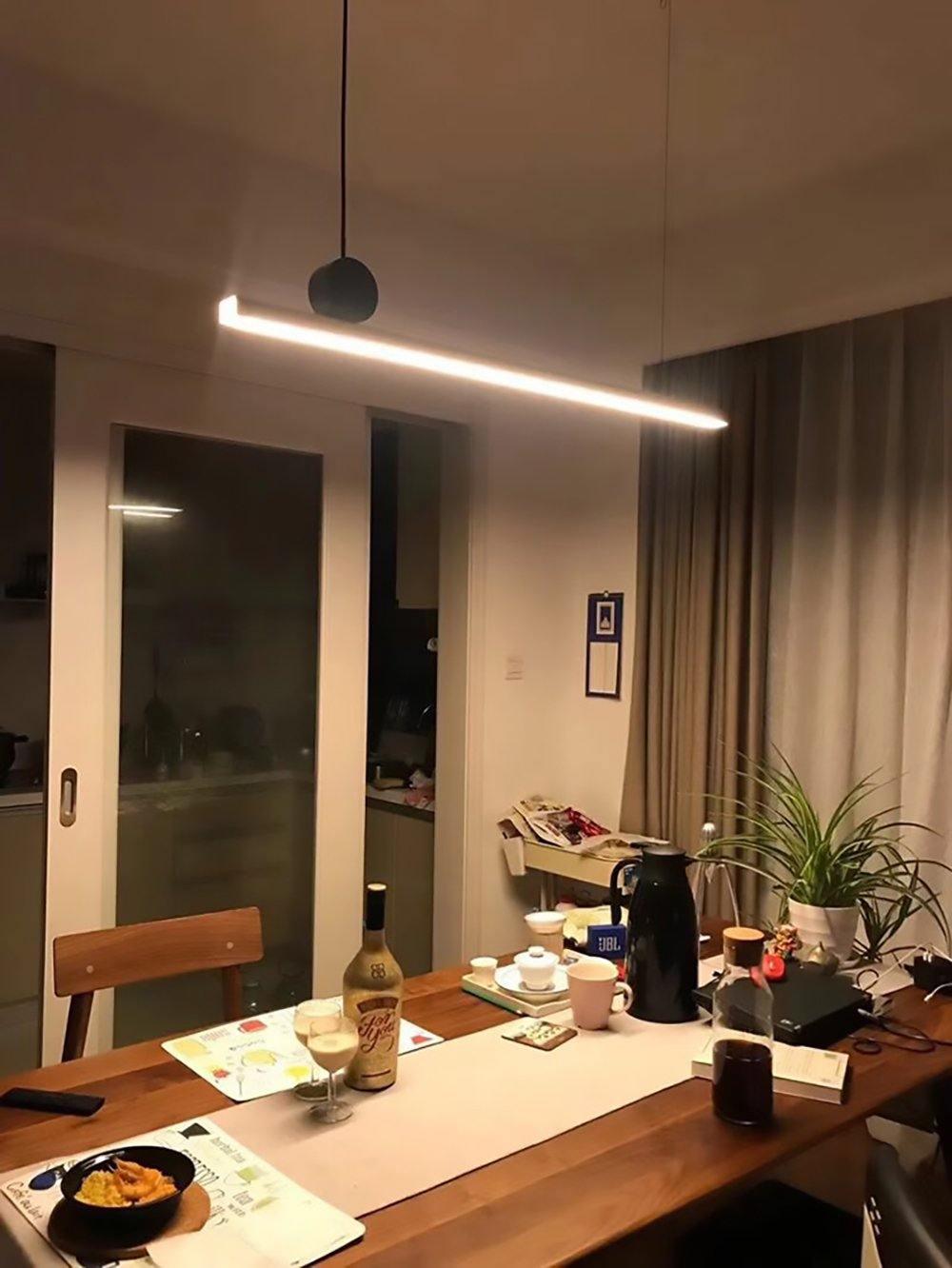 Embrora Brass Pendant Light-Moonnatur