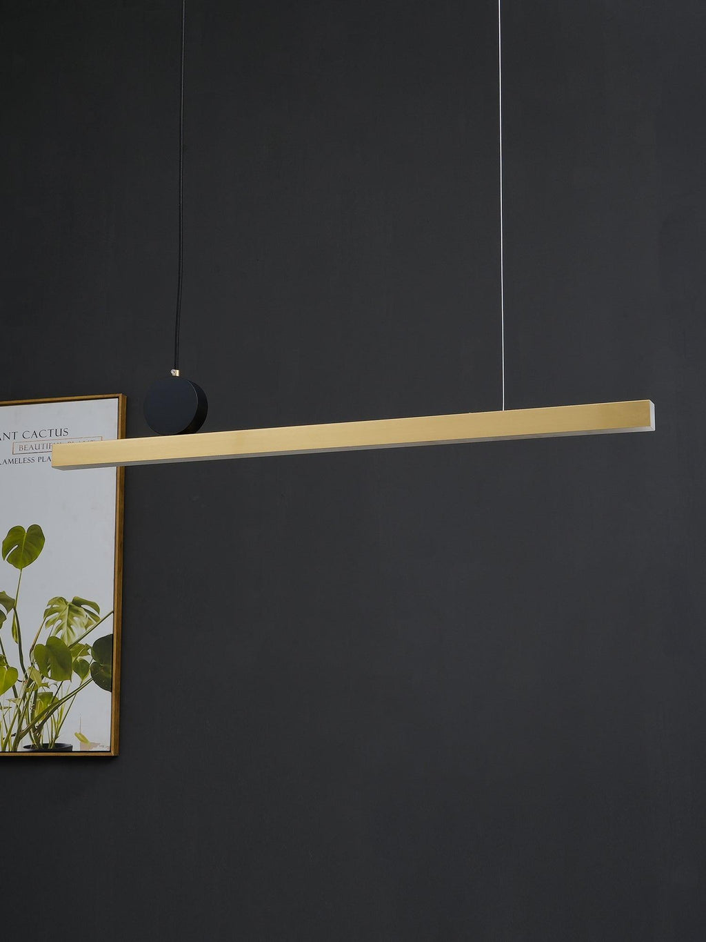 Embrora Brass Pendant Light-Moonnatur