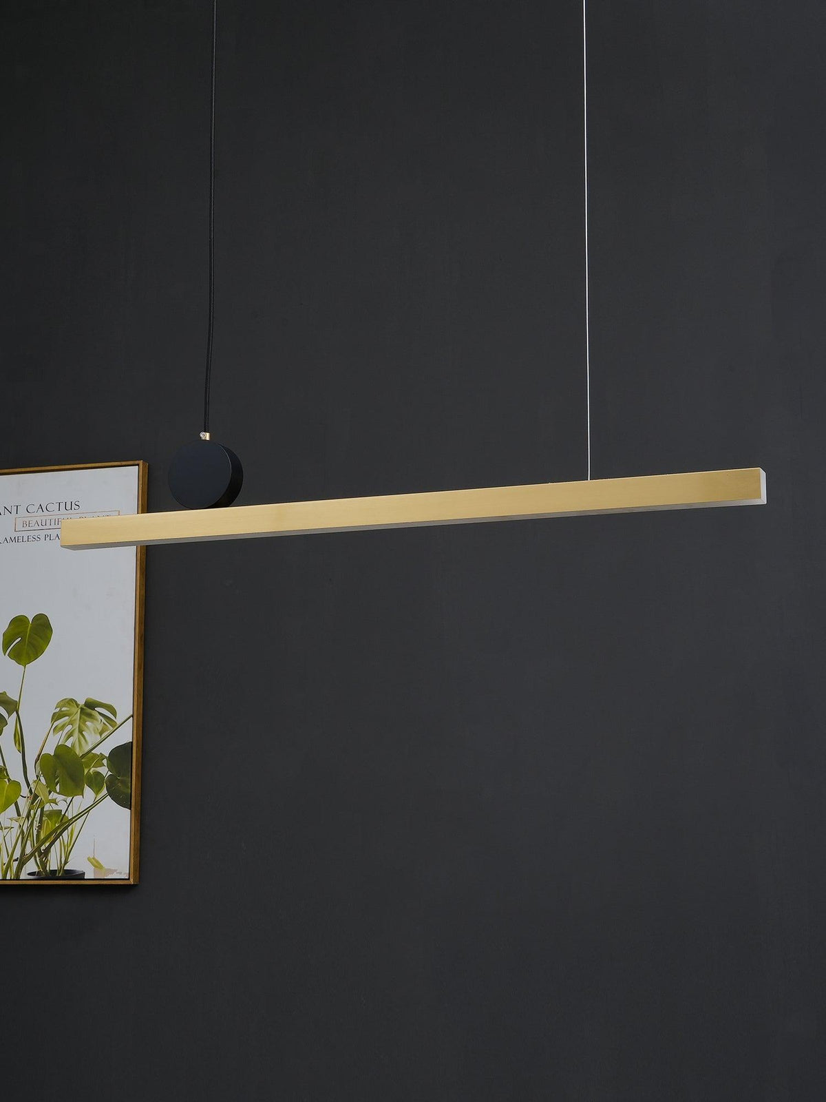 Embrora Brass Pendant Light-Moonnatur