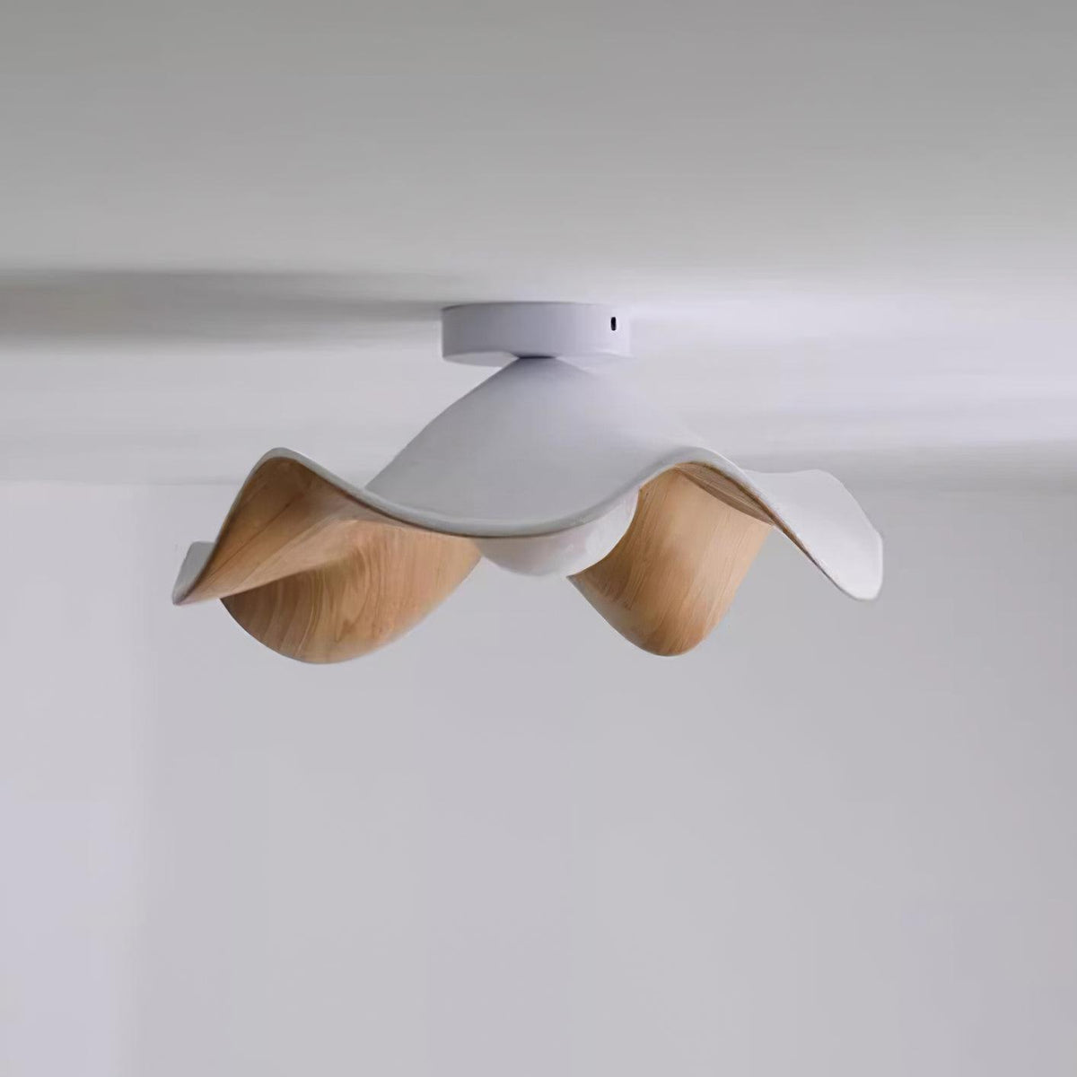 Zelvenenelle Resin Ceiling Light-Moonnatur