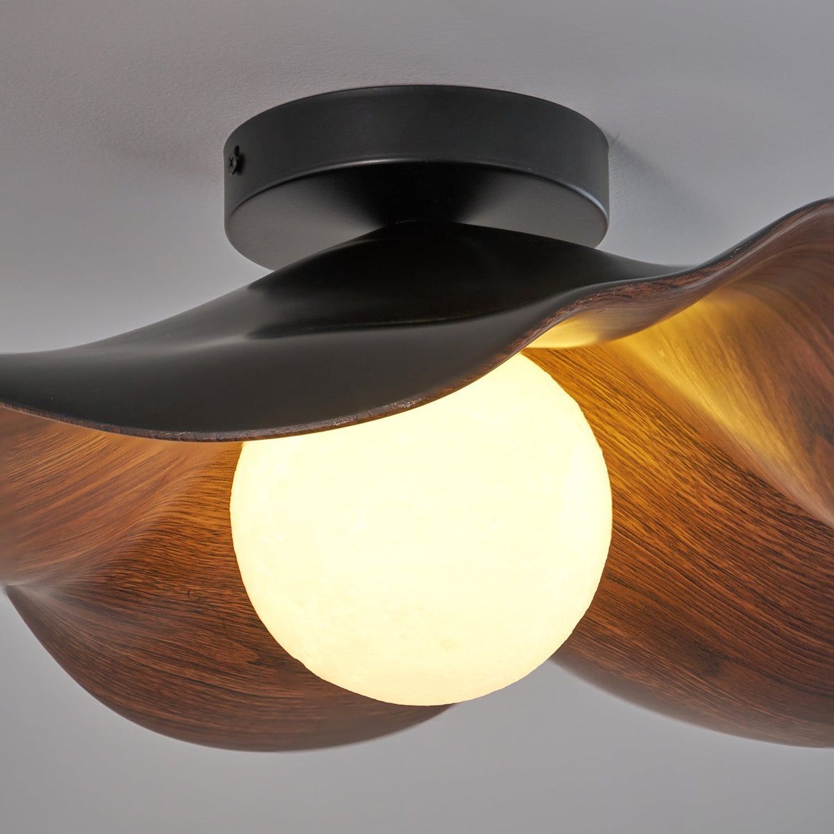 Zelvenenelle Resin Ceiling Light-Moonnatur