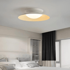 Sardenlyn Acrylic Ceiling Light-Moonnatur