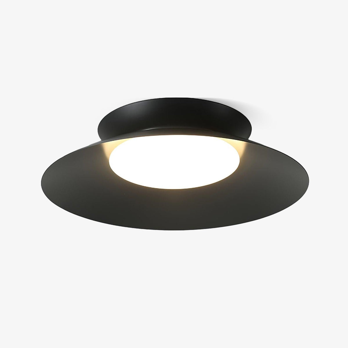 Sardenlyn Acrylic Ceiling Light-Moonnatur