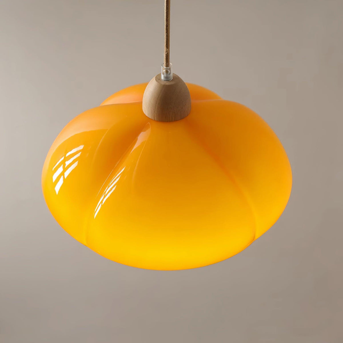 Sardenevia Glass Pendant Light-Moonnatur