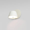 Altonhill Aluminium Wall Light-Moonnatur