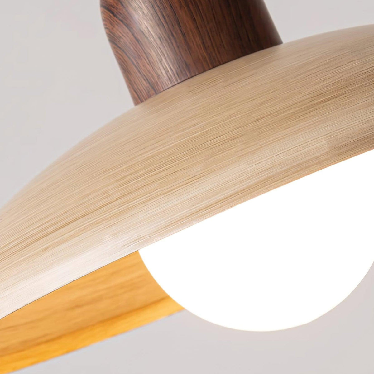 Enverenis Glass Pendant Light-Moonnatur