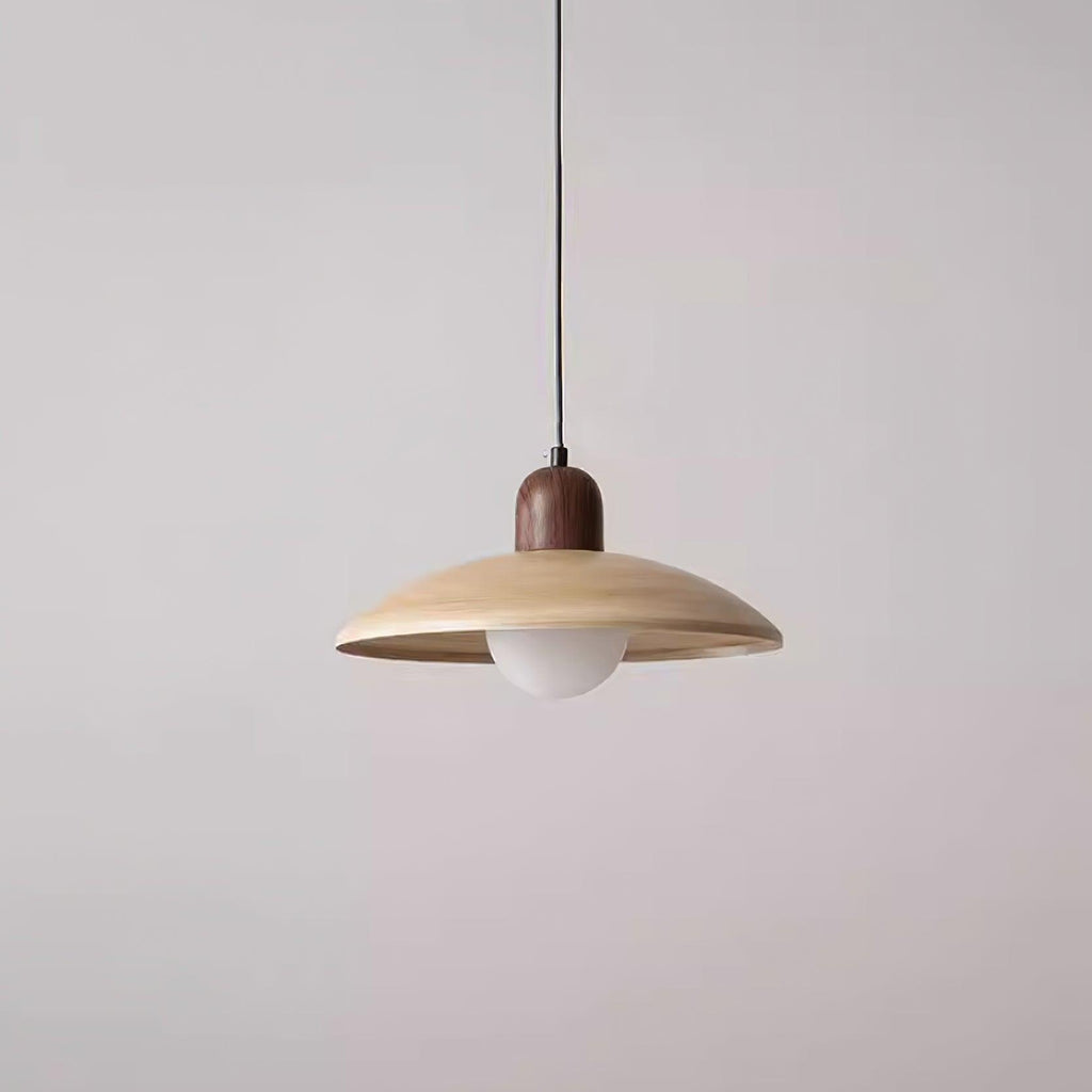 Enverenis Glass Pendant Light-Moonnatur