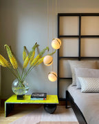 Olivra Acrylic Pendant Lamp-Moonnatur