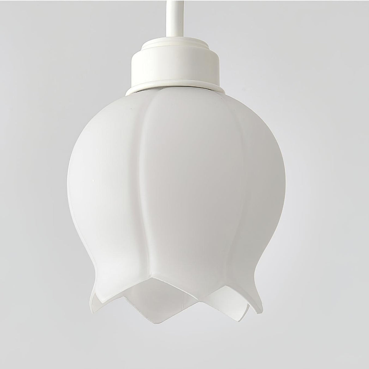 Wyrenera Acrylic Chandelier-Moonnatur