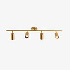 Jarvenera Brass Ceiling Light-Moonnatur