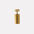 Jarvenera Brass Ceiling Light-Moonnatur