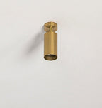Jarvenera Brass Ceiling Light-Moonnatur