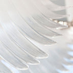 Orlenora Glass Chandelier-Moonnatur
