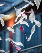 Hazelina Glass Chandelier-Moonnatur