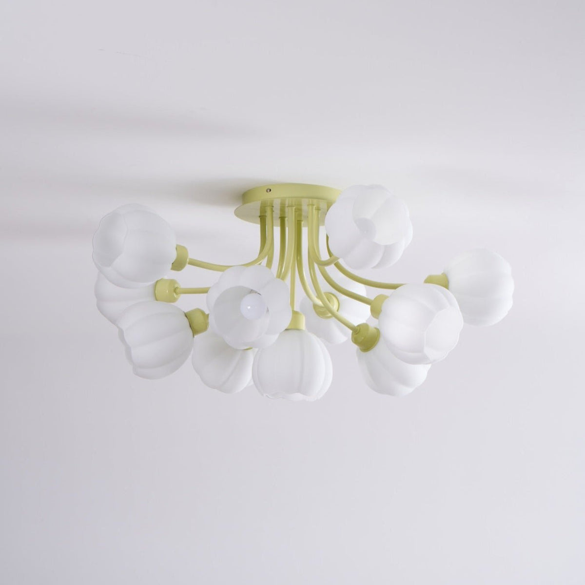Ovelwyn Glass Ceiling Light-Moonnatur