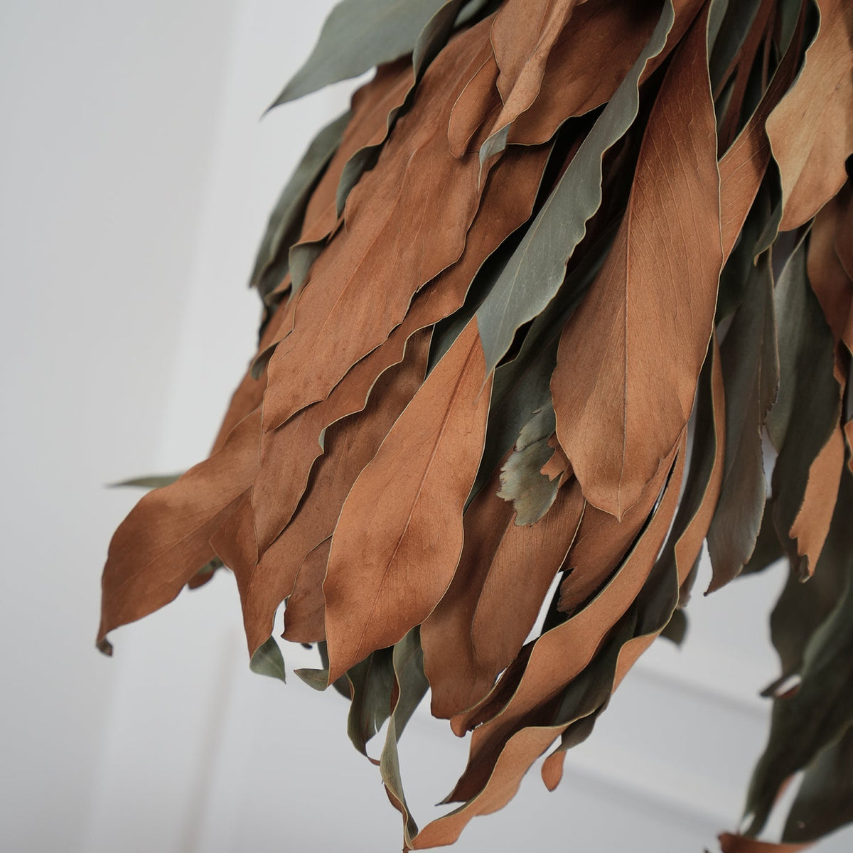 Gresaliae Leaf Pendant Light-Moonnatur