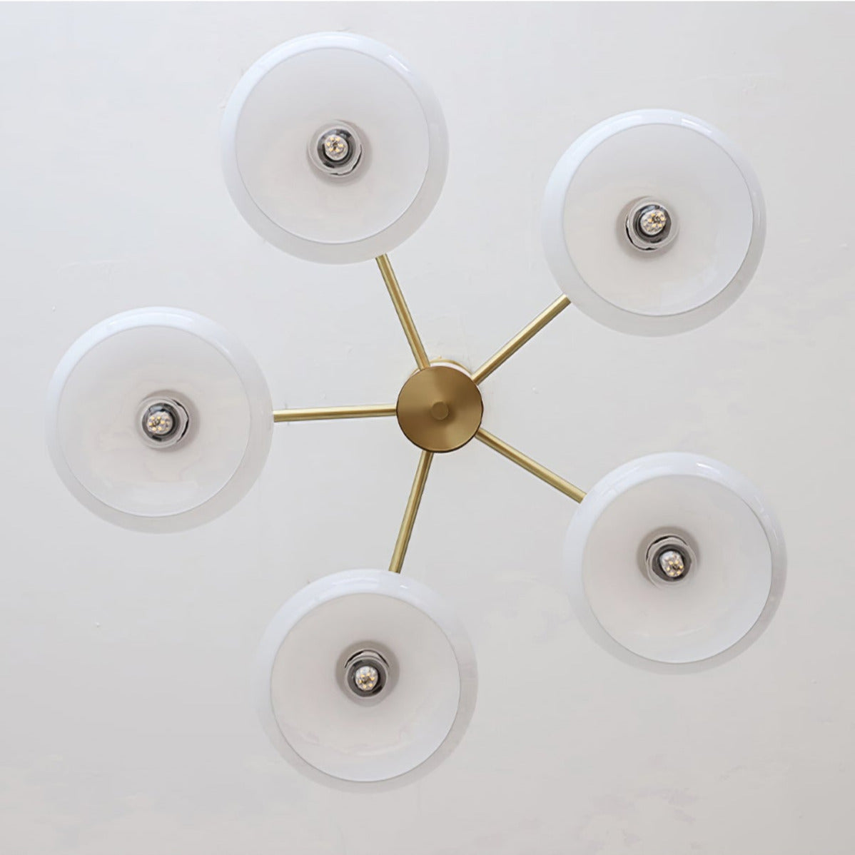 Quenelfern Glass Chandelier-Moonnatur