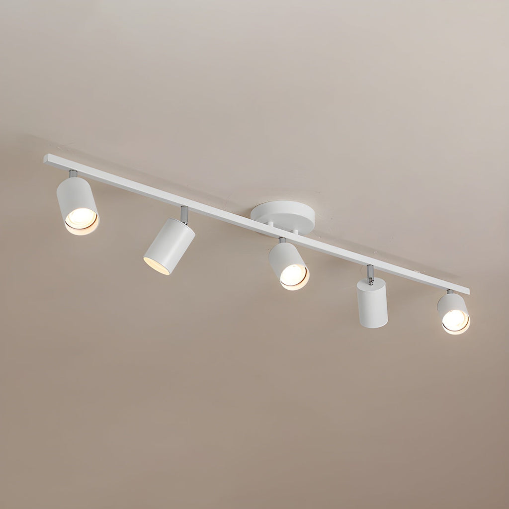 Calderlyn Aluminium Ceiling Light-Moonnatur