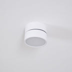 Ravensenelle Aluminium Spotlight-Moonnatur