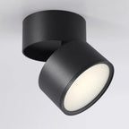 Ravensenelle Aluminium Spotlight-Moonnatur