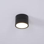 Ravensenelle Aluminium Spotlight-Moonnatur