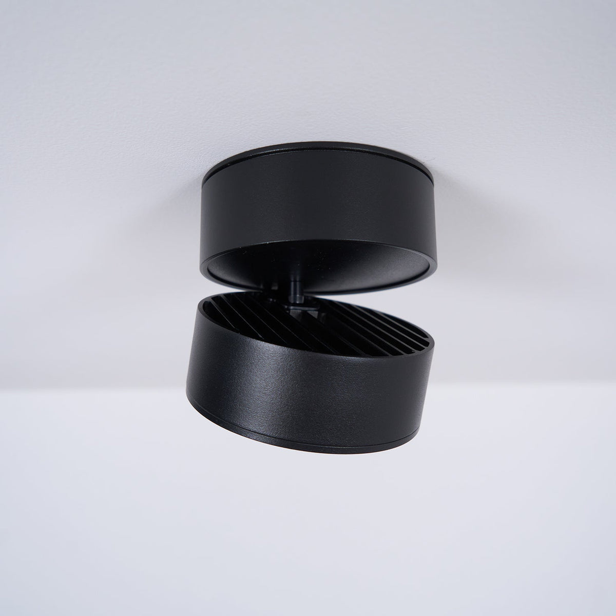 Ravensenelle Aluminium Spotlight-Moonnatur