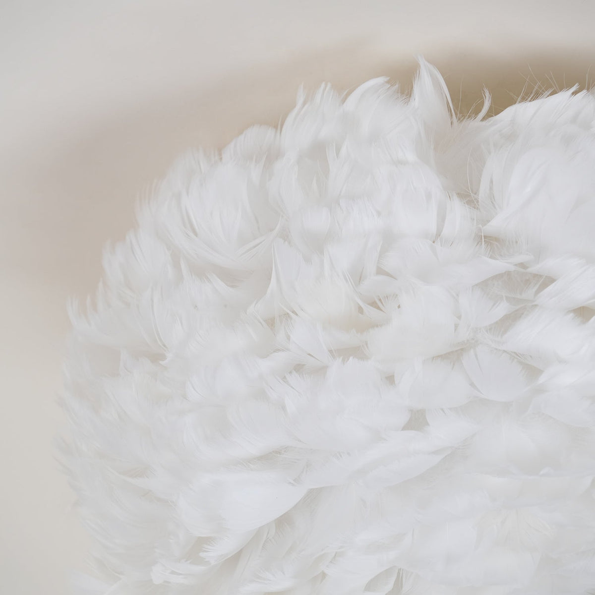 Haldenwyn Feather Ceiling Light-Moonnatur