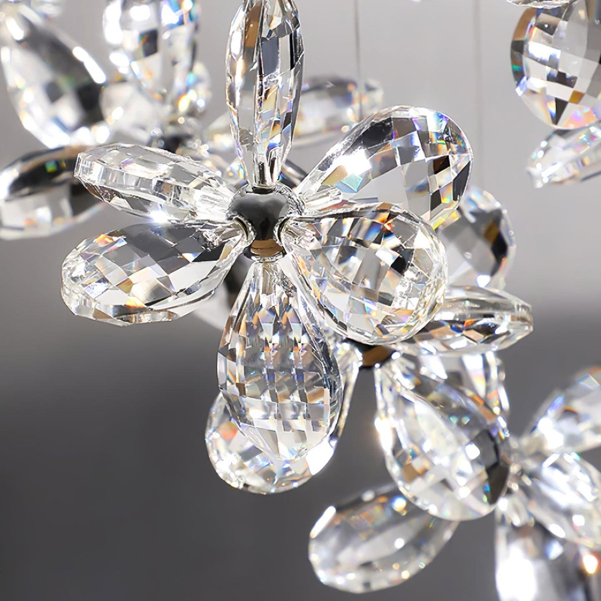 Qamora Crystal Chandelier-Moonnatur