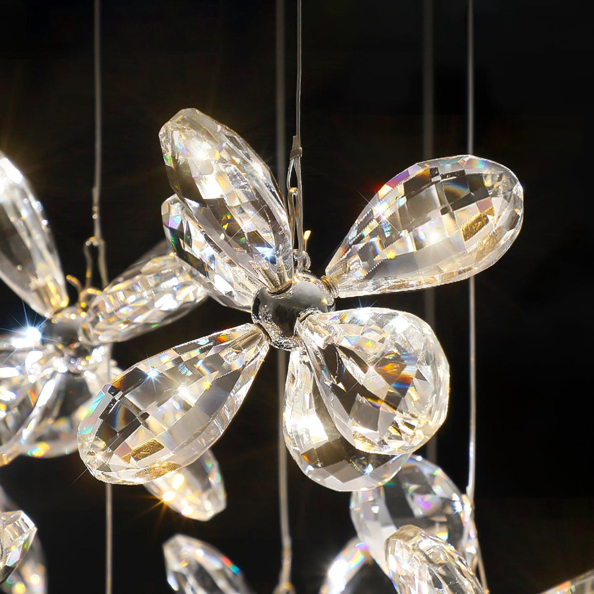 Qamora Crystal Chandelier-Moonnatur