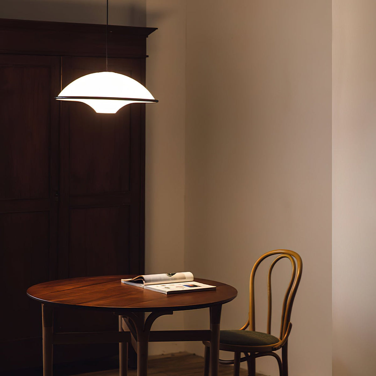 Orlenwynne Acrylic Pendant Light-Moonnatur