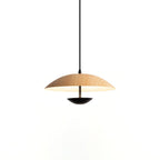 Westenna Glass Pendant Light-Moonnatur