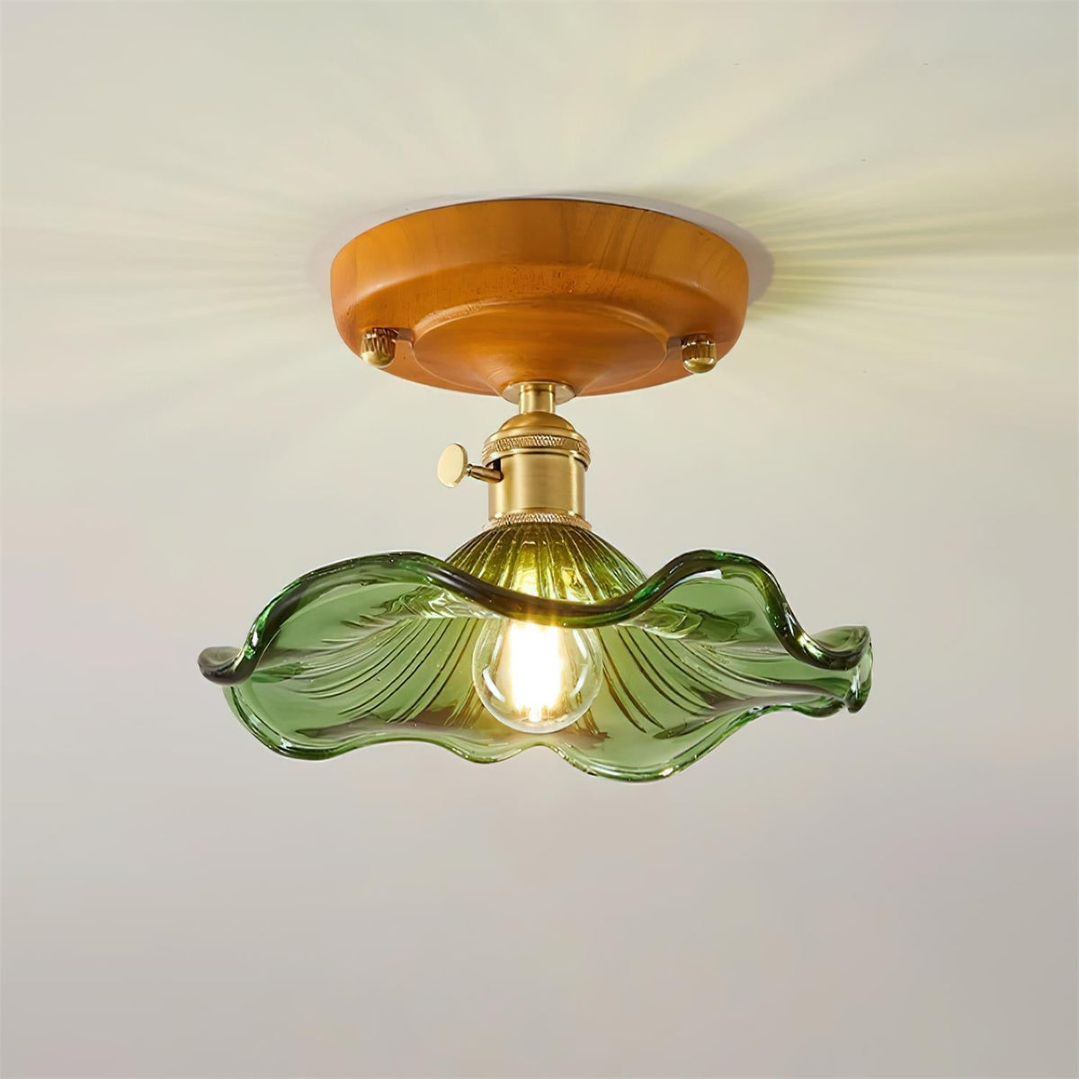 Meldenena Glass Ceiling Light-Moonnatur
