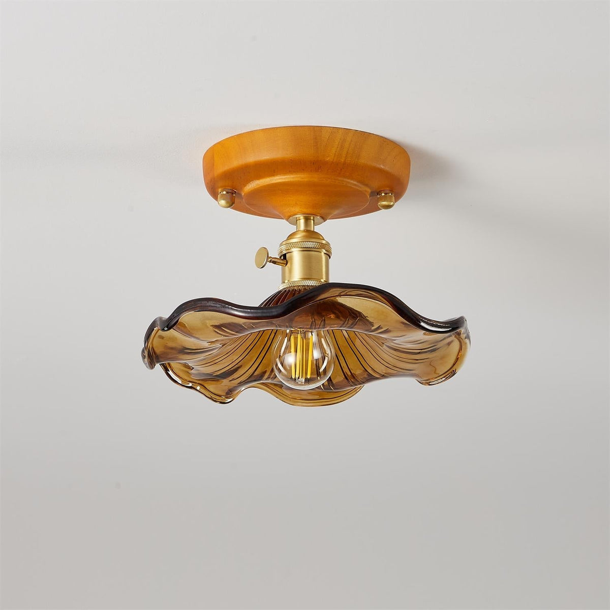 Meldenena Glass Ceiling Light-Moonnatur