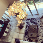 Olyvera Ceramic Chandelier-Moonnatur