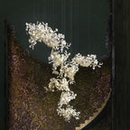 Ardenora Ceramic Chandelier-Moonnatur