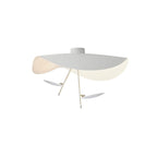 Meldora Steel Ceiling Lamp-Moonnatur